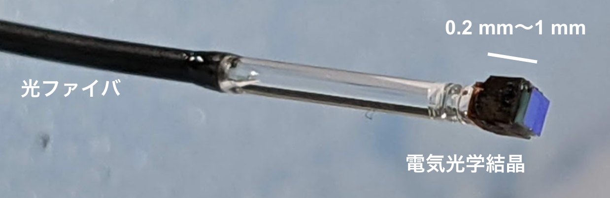 その場の電界を低擾乱にセンシングするプローブ。光ファイバ(黒い部分)の先端に装荷された電気光学結晶(0.2〜1mm角)により、被測定電界の情報が光信号に変換され、計測システムまで低ロスで伝送される。